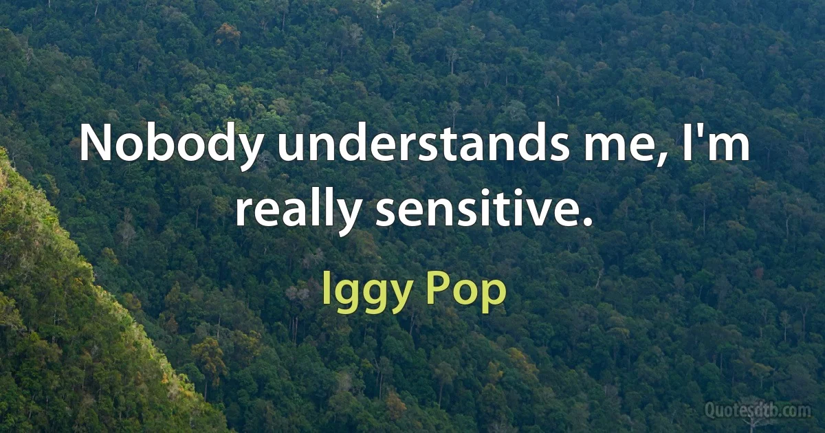 Nobody understands me, I'm really sensitive. (Iggy Pop)