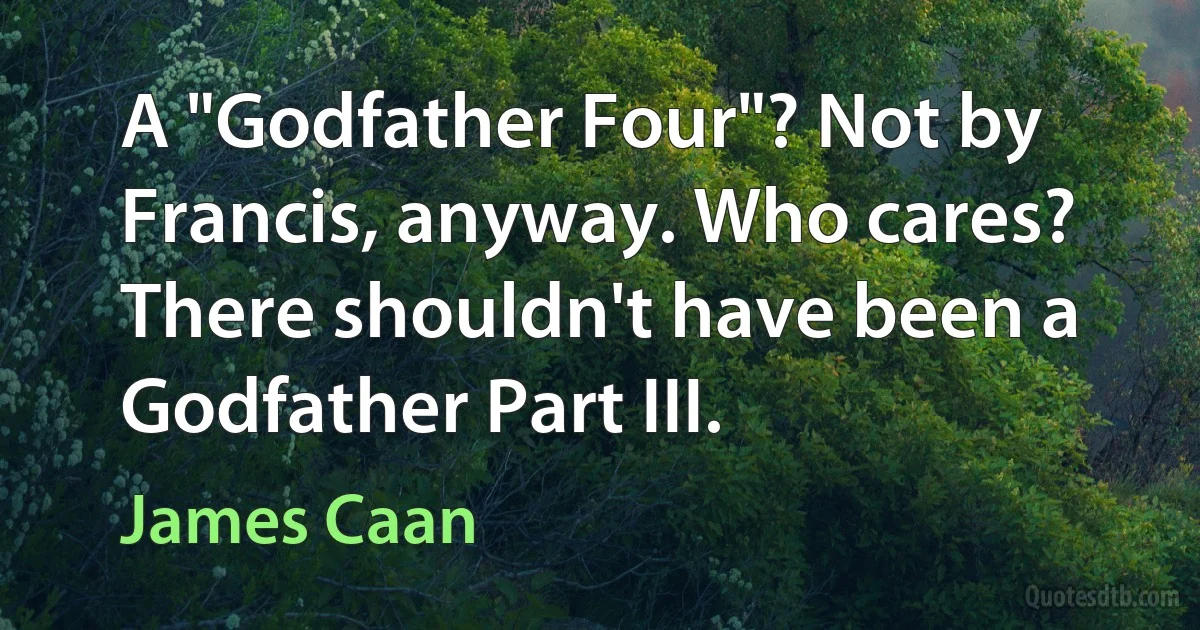 A "Godfather Four"? Not by Francis, anyway. Who cares? There shouldn't have been a Godfather Part III. (James Caan)