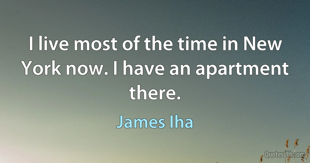 I live most of the time in New York now. I have an apartment there. (James Iha)