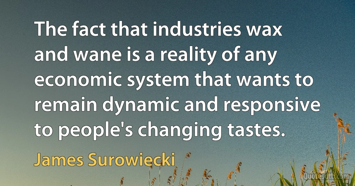 The fact that industries wax and wane is a reality of any economic system that wants to remain dynamic and responsive to people's changing tastes. (James Surowiecki)