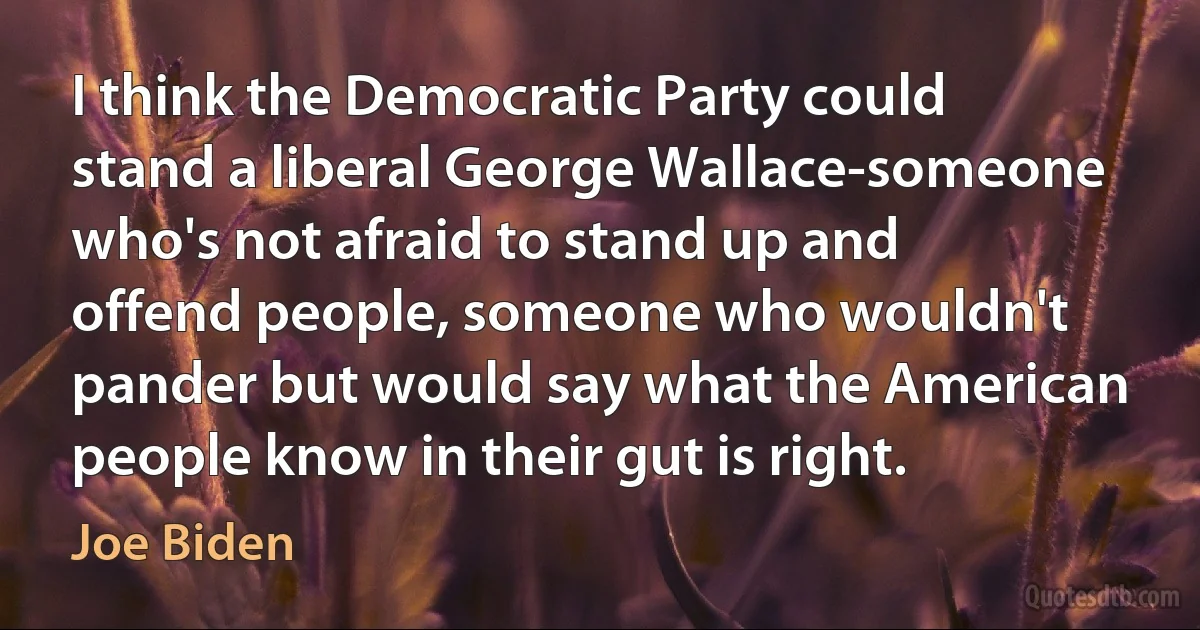 I think the Democratic Party could stand a liberal George Wallace-someone who's not afraid to stand up and offend people, someone who wouldn't pander but would say what the American people know in their gut is right. (Joe Biden)