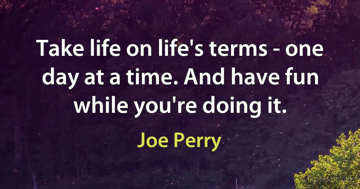 Take life on life's terms - one day at a time. And have fun while you're doing it. (Joe Perry)