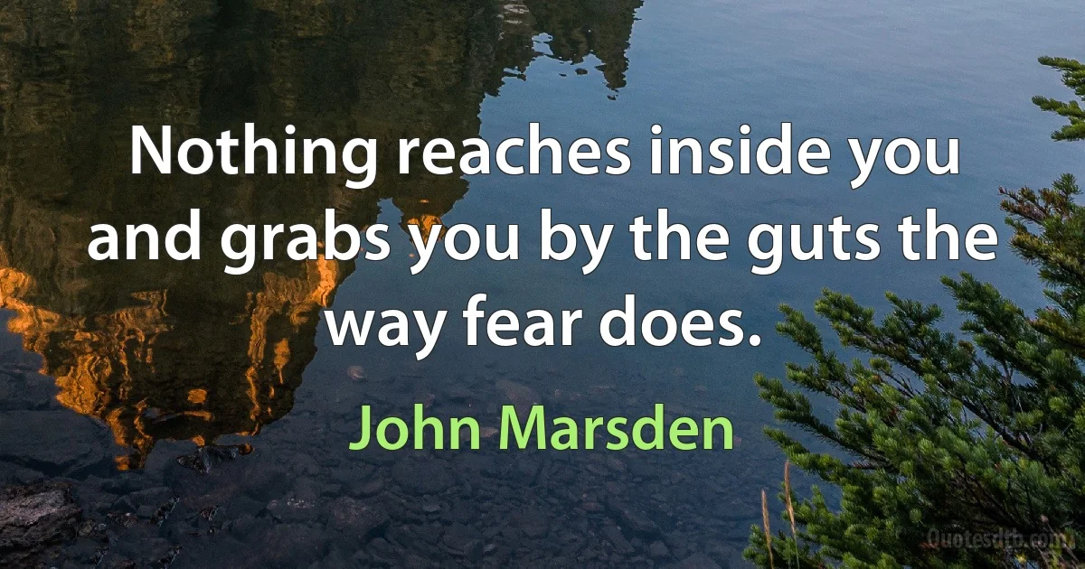 Nothing reaches inside you and grabs you by the guts the way fear does. (John Marsden)