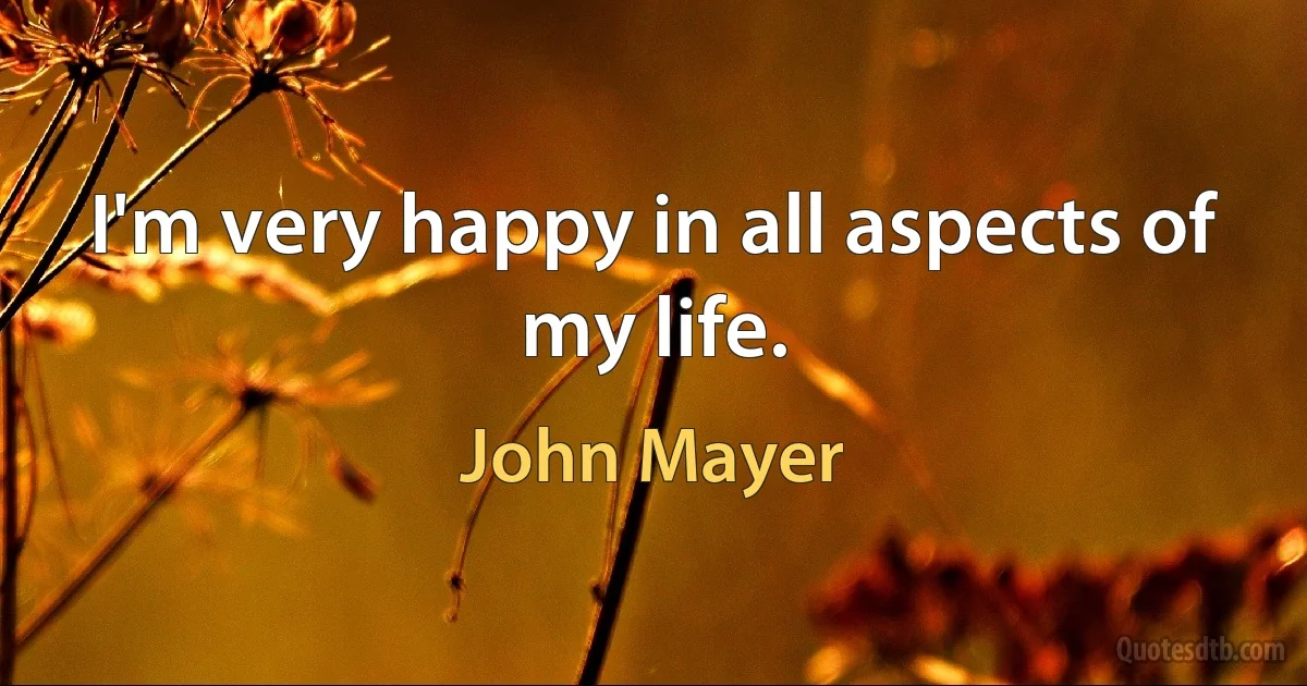 I'm very happy in all aspects of my life. (John Mayer)