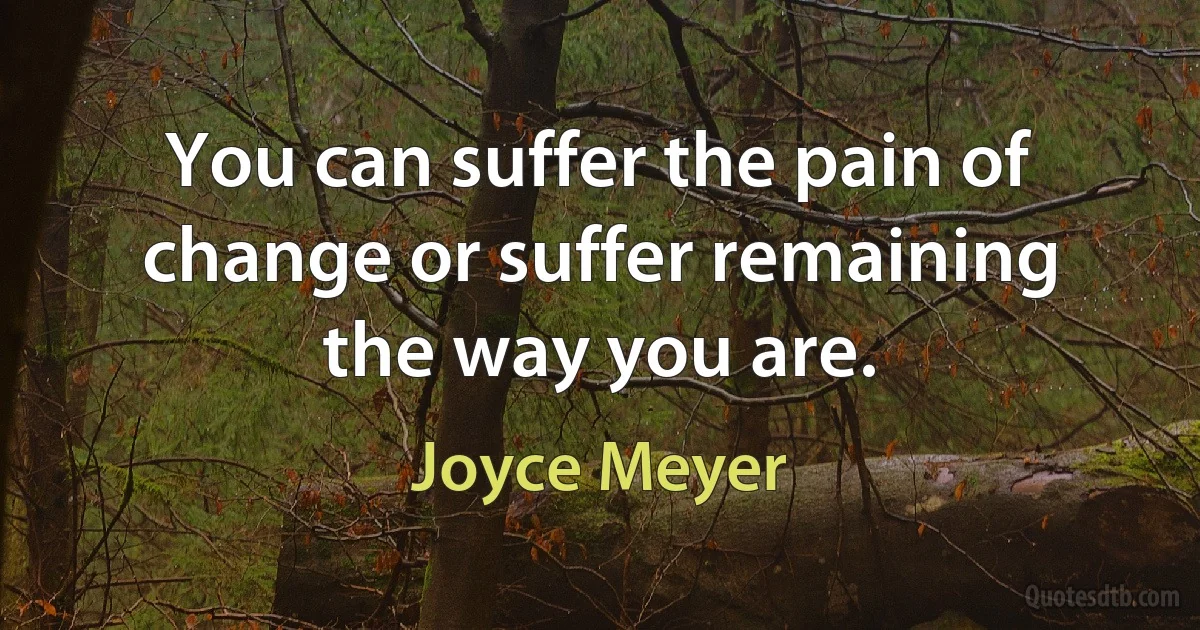 You can suffer the pain of change or suffer remaining the way you are. (Joyce Meyer)