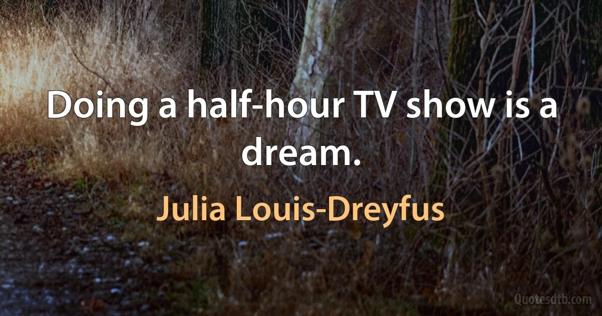 Doing a half-hour TV show is a dream. (Julia Louis-Dreyfus)