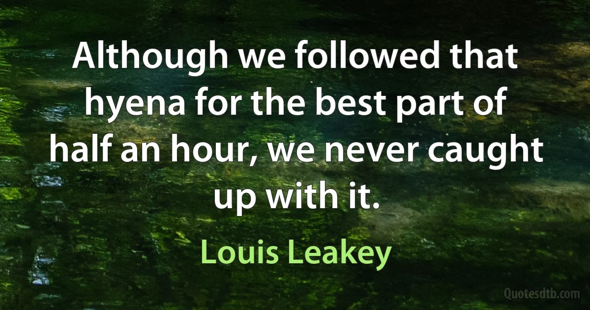 Although we followed that hyena for the best part of half an hour, we never caught up with it. (Louis Leakey)