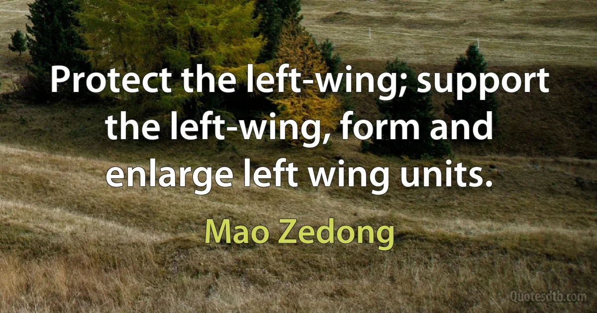 Protect the left-wing; support the left-wing, form and enlarge left wing units. (Mao Zedong)