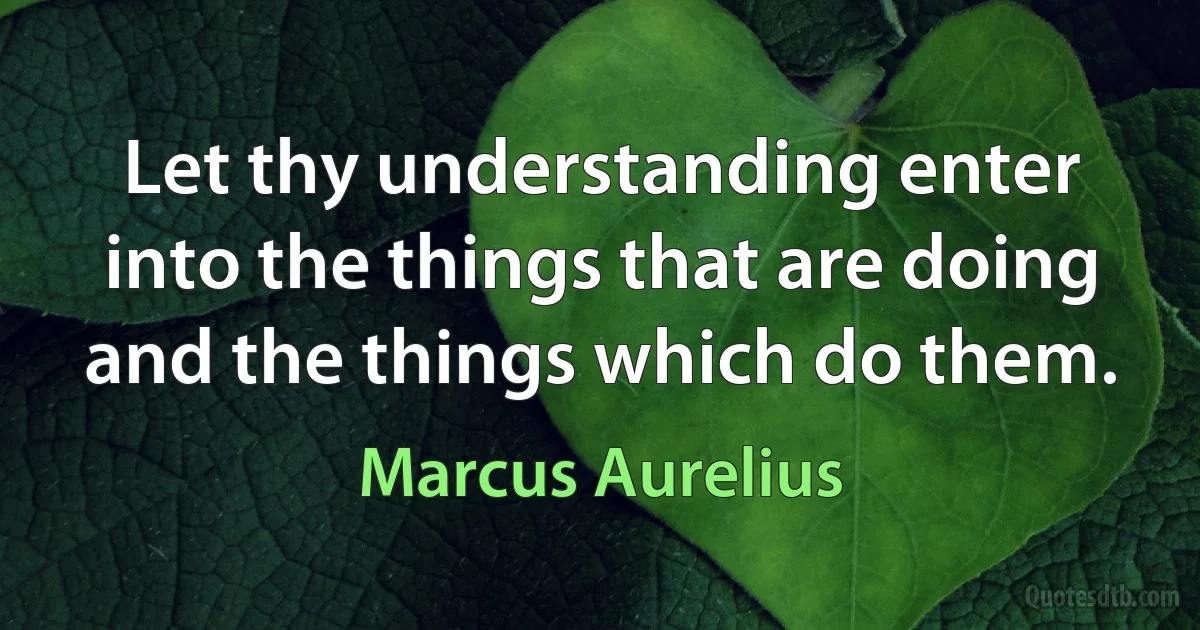 Let thy understanding enter into the things that are doing and the things which do them. (Marcus Aurelius)