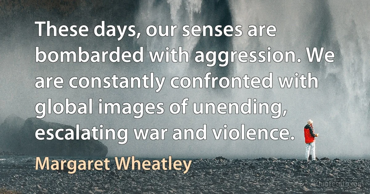 These days, our senses are bombarded with aggression. We are constantly confronted with global images of unending, escalating war and violence. (Margaret Wheatley)