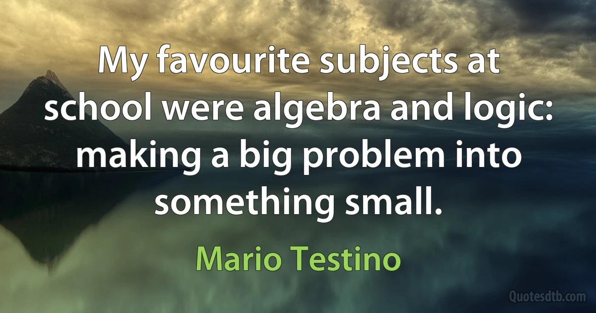 My favourite subjects at school were algebra and logic: making a big problem into something small. (Mario Testino)