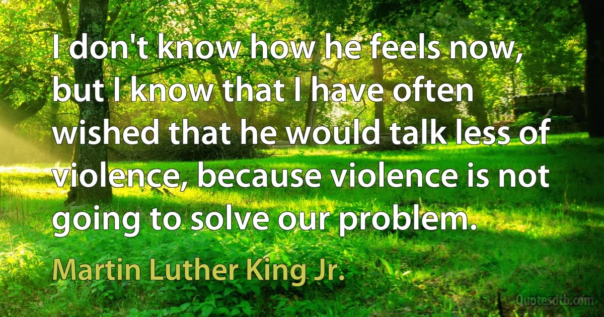 I don't know how he feels now, but I know that I have often wished that he would talk less of violence, because violence is not going to solve our problem. (Martin Luther King Jr.)