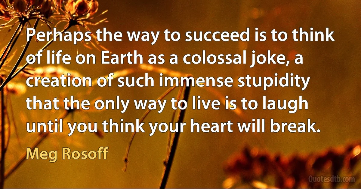 Perhaps the way to succeed is to think of life on Earth as a colossal joke, a creation of such immense stupidity that the only way to live is to laugh until you think your heart will break. (Meg Rosoff)