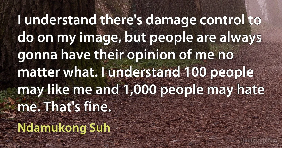 I understand there's damage control to do on my image, but people are always gonna have their opinion of me no matter what. I understand 100 people may like me and 1,000 people may hate me. That's fine. (Ndamukong Suh)