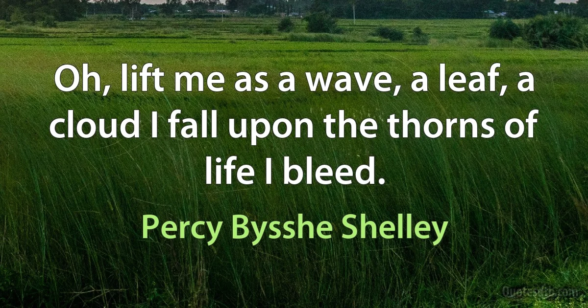 Oh, lift me as a wave, a leaf, a cloud I fall upon the thorns of life I bleed. (Percy Bysshe Shelley)