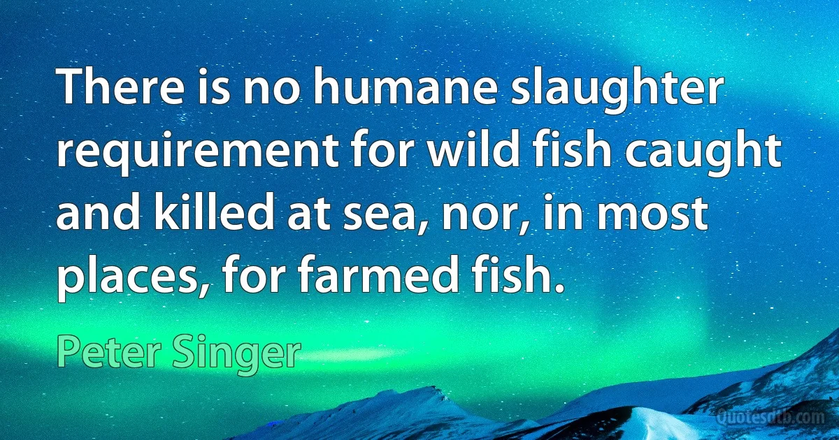 There is no humane slaughter requirement for wild fish caught and killed at sea, nor, in most places, for farmed fish. (Peter Singer)