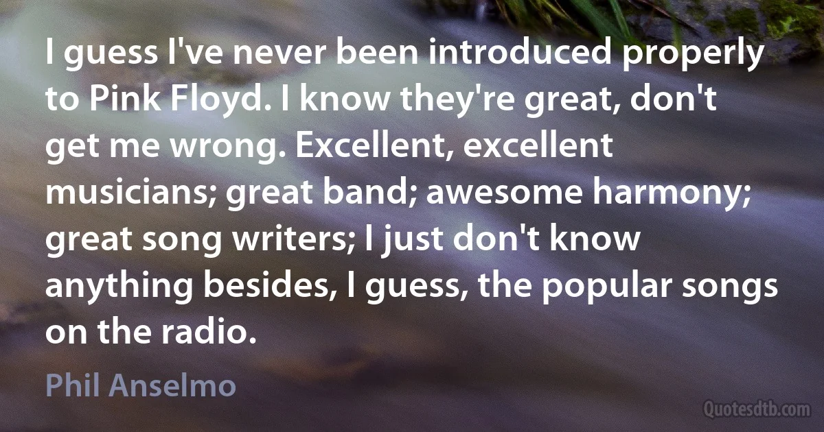 I guess I've never been introduced properly to Pink Floyd. I know they're great, don't get me wrong. Excellent, excellent musicians; great band; awesome harmony; great song writers; I just don't know anything besides, I guess, the popular songs on the radio. (Phil Anselmo)