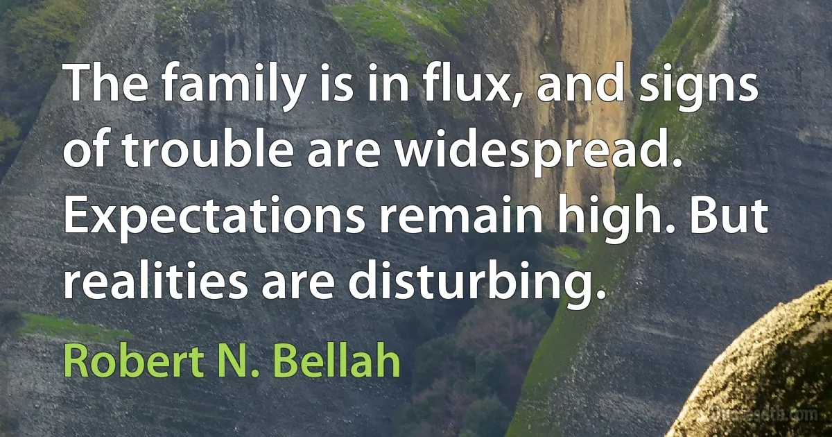 The family is in flux, and signs of trouble are widespread. Expectations remain high. But realities are disturbing. (Robert N. Bellah)