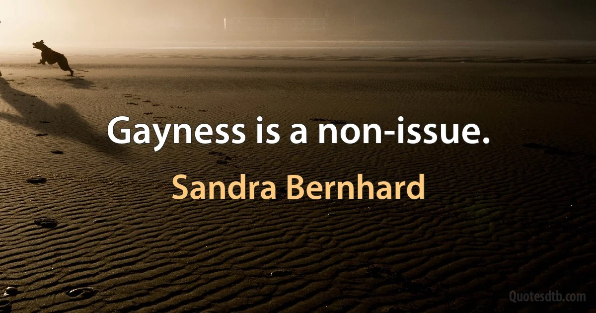 Gayness is a non-issue. (Sandra Bernhard)