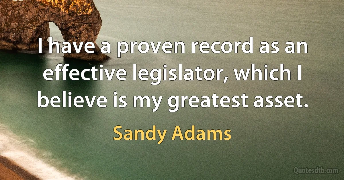 I have a proven record as an effective legislator, which I believe is my greatest asset. (Sandy Adams)