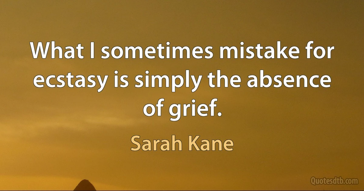 What I sometimes mistake for ecstasy is simply the absence of grief. (Sarah Kane)