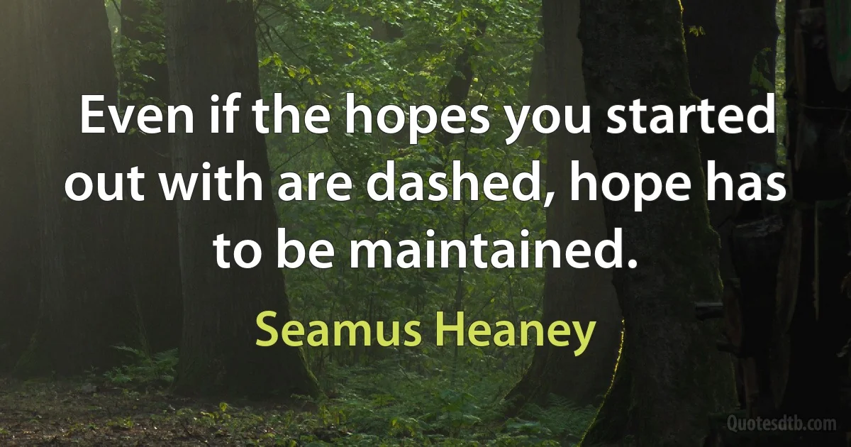 Even if the hopes you started out with are dashed, hope has to be maintained. (Seamus Heaney)