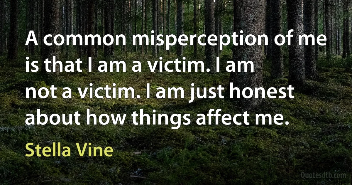 A common misperception of me is that I am a victim. I am not a victim. I am just honest about how things affect me. (Stella Vine)