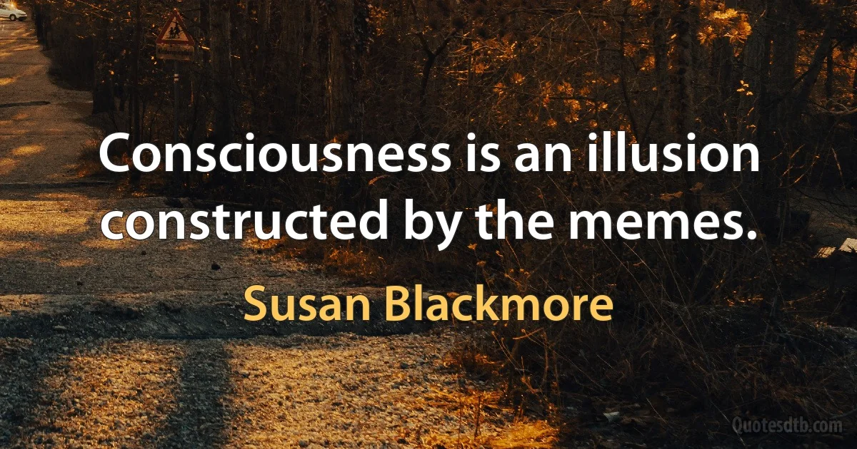 Consciousness is an illusion constructed by the memes. (Susan Blackmore)