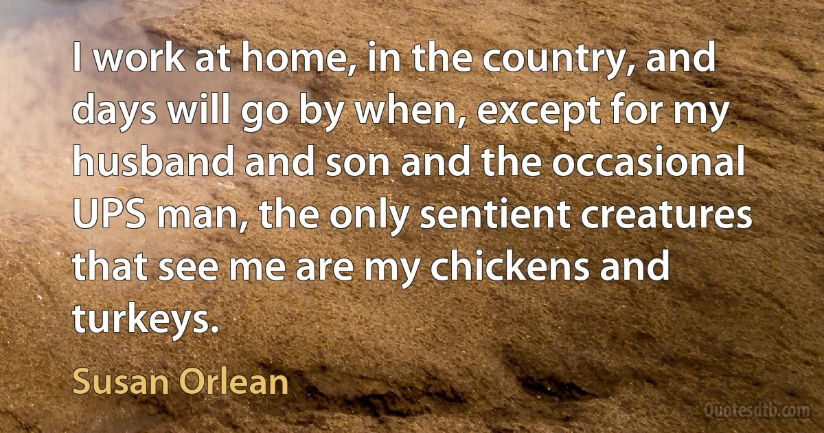 I work at home, in the country, and days will go by when, except for my husband and son and the occasional UPS man, the only sentient creatures that see me are my chickens and turkeys. (Susan Orlean)