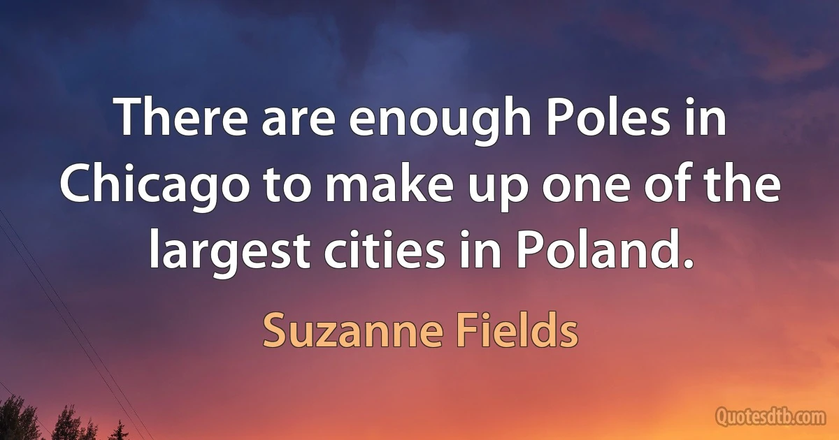 There are enough Poles in Chicago to make up one of the largest cities in Poland. (Suzanne Fields)