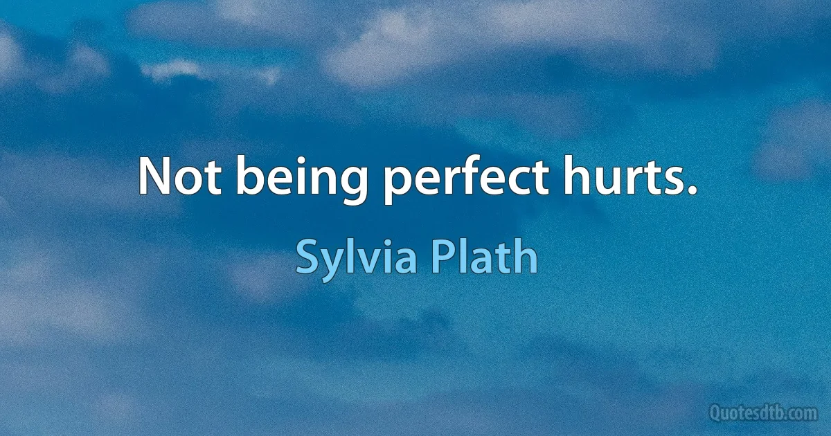 Not being perfect hurts. (Sylvia Plath)