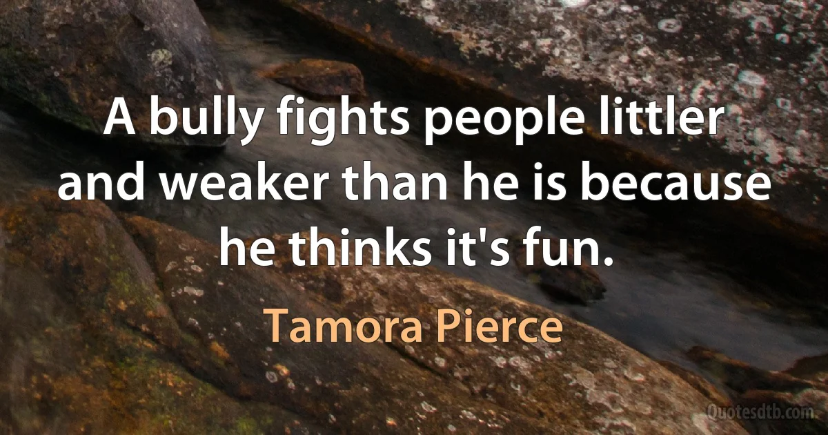 A bully fights people littler and weaker than he is because he thinks it's fun. (Tamora Pierce)