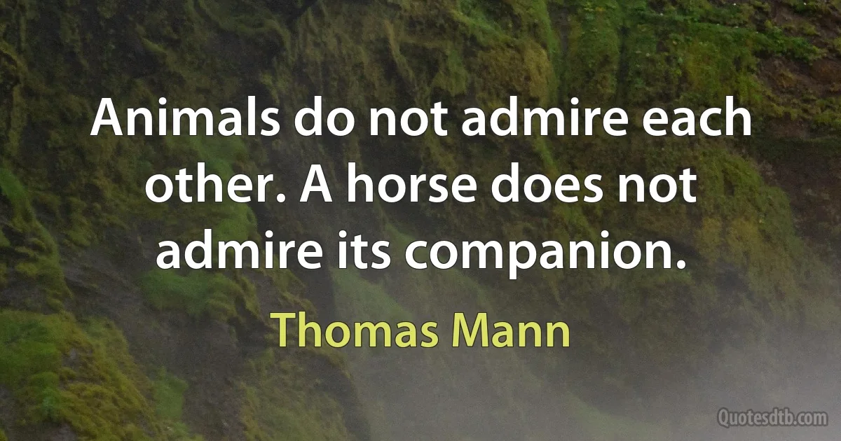 Animals do not admire each other. A horse does not admire its companion. (Thomas Mann)