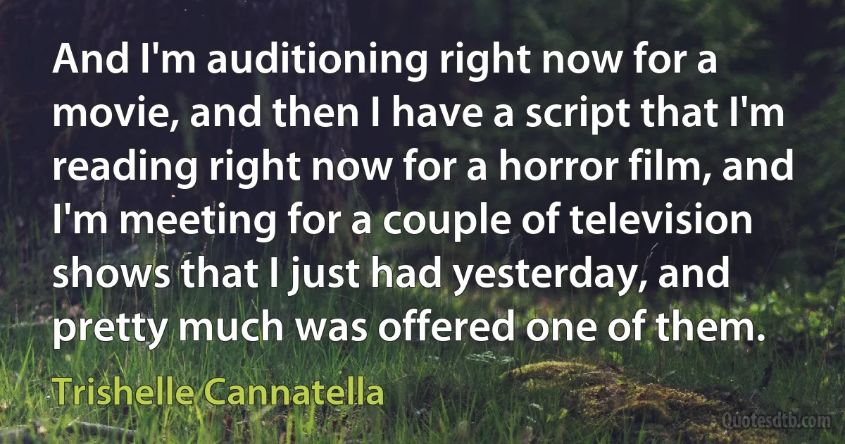 And I'm auditioning right now for a movie, and then I have a script that I'm reading right now for a horror film, and I'm meeting for a couple of television shows that I just had yesterday, and pretty much was offered one of them. (Trishelle Cannatella)