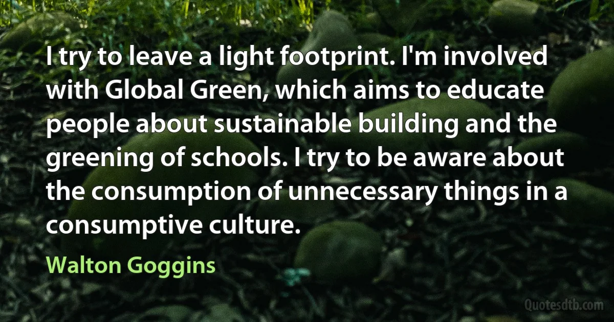 I try to leave a light footprint. I'm involved with Global Green, which aims to educate people about sustainable building and the greening of schools. I try to be aware about the consumption of unnecessary things in a consumptive culture. (Walton Goggins)