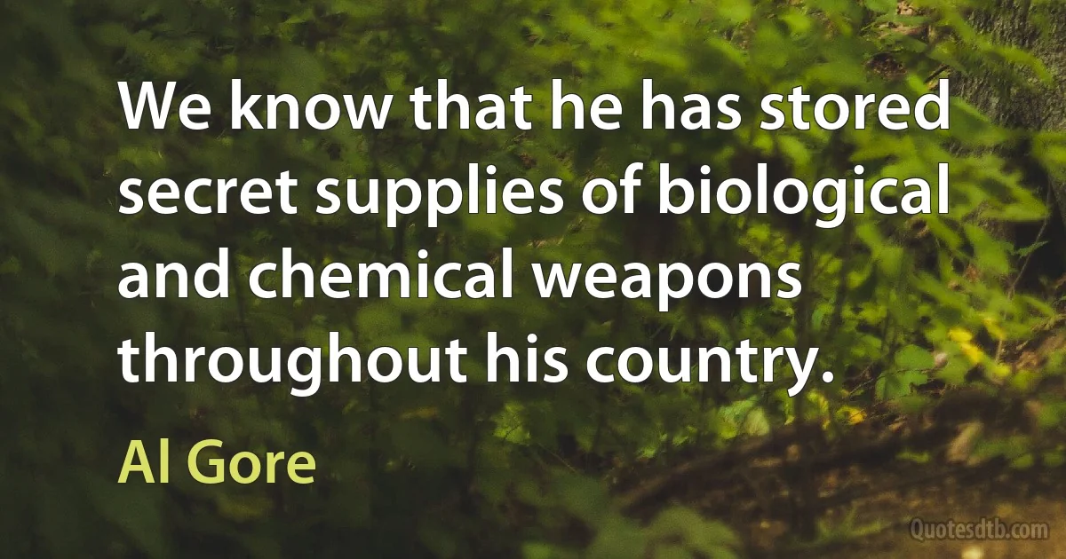 We know that he has stored secret supplies of biological and chemical weapons throughout his country. (Al Gore)