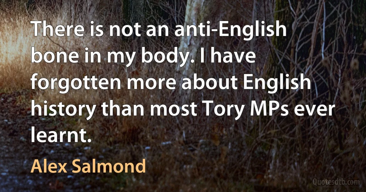 There is not an anti-English bone in my body. I have forgotten more about English history than most Tory MPs ever learnt. (Alex Salmond)