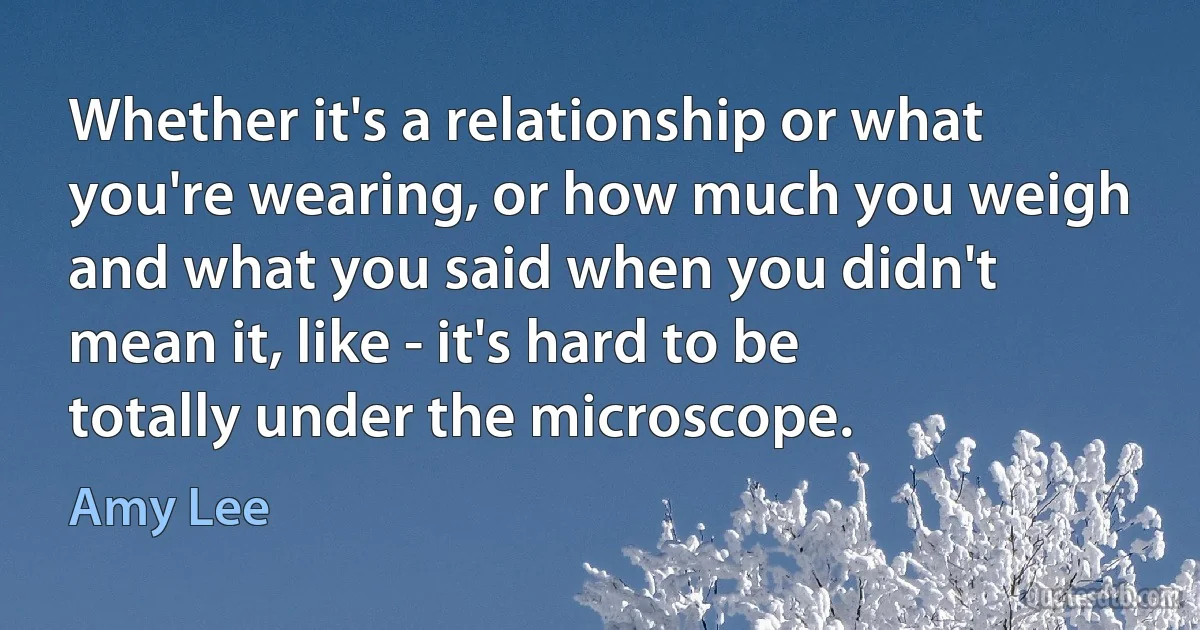 Whether it's a relationship or what you're wearing, or how much you weigh and what you said when you didn't mean it, like - it's hard to be totally under the microscope. (Amy Lee)