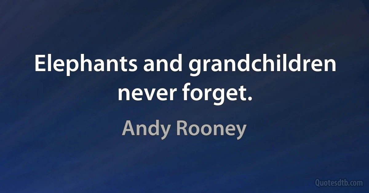 Elephants and grandchildren never forget. (Andy Rooney)