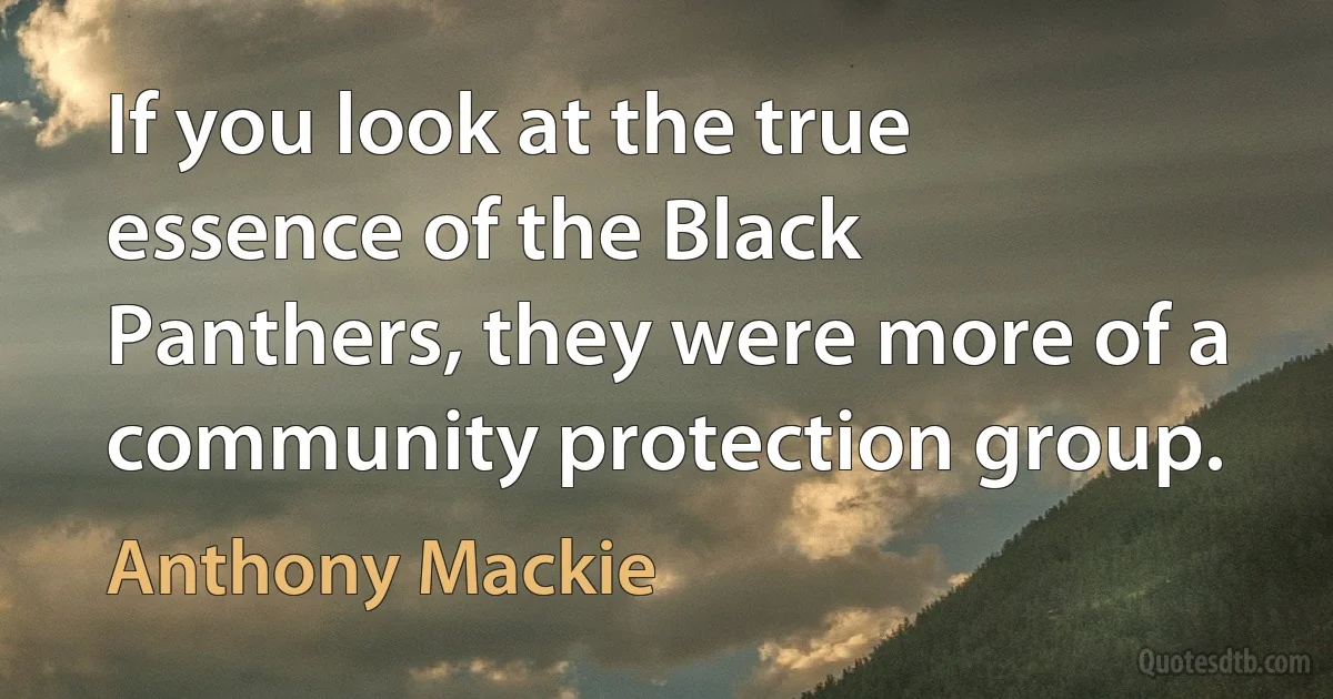 If you look at the true essence of the Black Panthers, they were more of a community protection group. (Anthony Mackie)