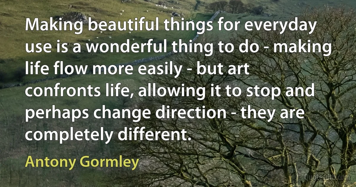 Making beautiful things for everyday use is a wonderful thing to do - making life flow more easily - but art confronts life, allowing it to stop and perhaps change direction - they are completely different. (Antony Gormley)