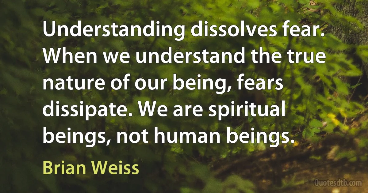 Understanding dissolves fear. When we understand the true nature of our being, fears dissipate. We are spiritual beings, not human beings. (Brian Weiss)