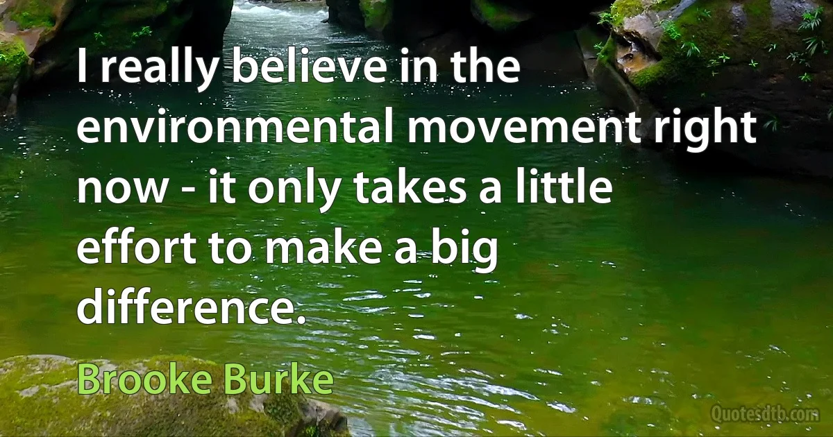 I really believe in the environmental movement right now - it only takes a little effort to make a big difference. (Brooke Burke)