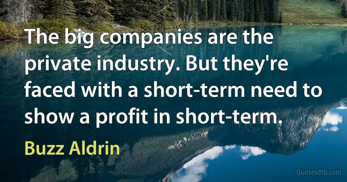 The big companies are the private industry. But they're faced with a short-term need to show a profit in short-term. (Buzz Aldrin)