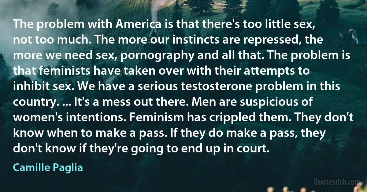 The problem with America is that there's too little sex, not too much. The more our instincts are repressed, the more we need sex, pornography and all that. The problem is that feminists have taken over with their attempts to inhibit sex. We have a serious testosterone problem in this country. ... It's a mess out there. Men are suspicious of women's intentions. Feminism has crippled them. They don't know when to make a pass. If they do make a pass, they don't know if they're going to end up in court. (Camille Paglia)