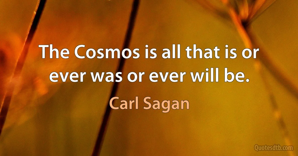 The Cosmos is all that is or ever was or ever will be. (Carl Sagan)