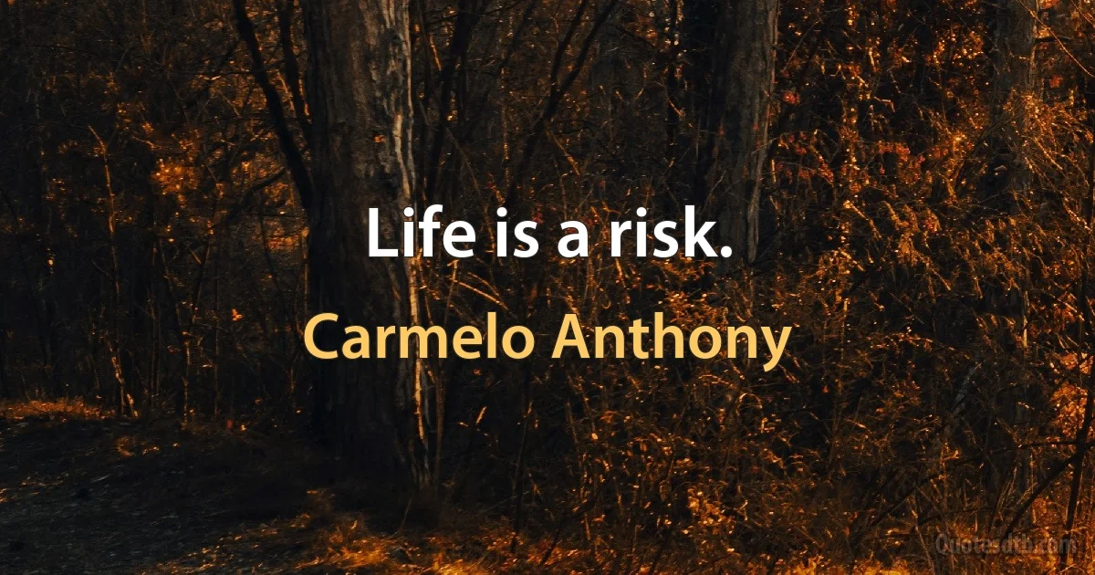 Life is a risk. (Carmelo Anthony)