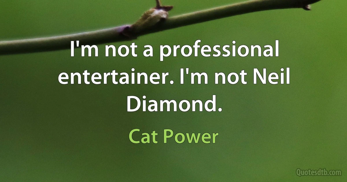 I'm not a professional entertainer. I'm not Neil Diamond. (Cat Power)