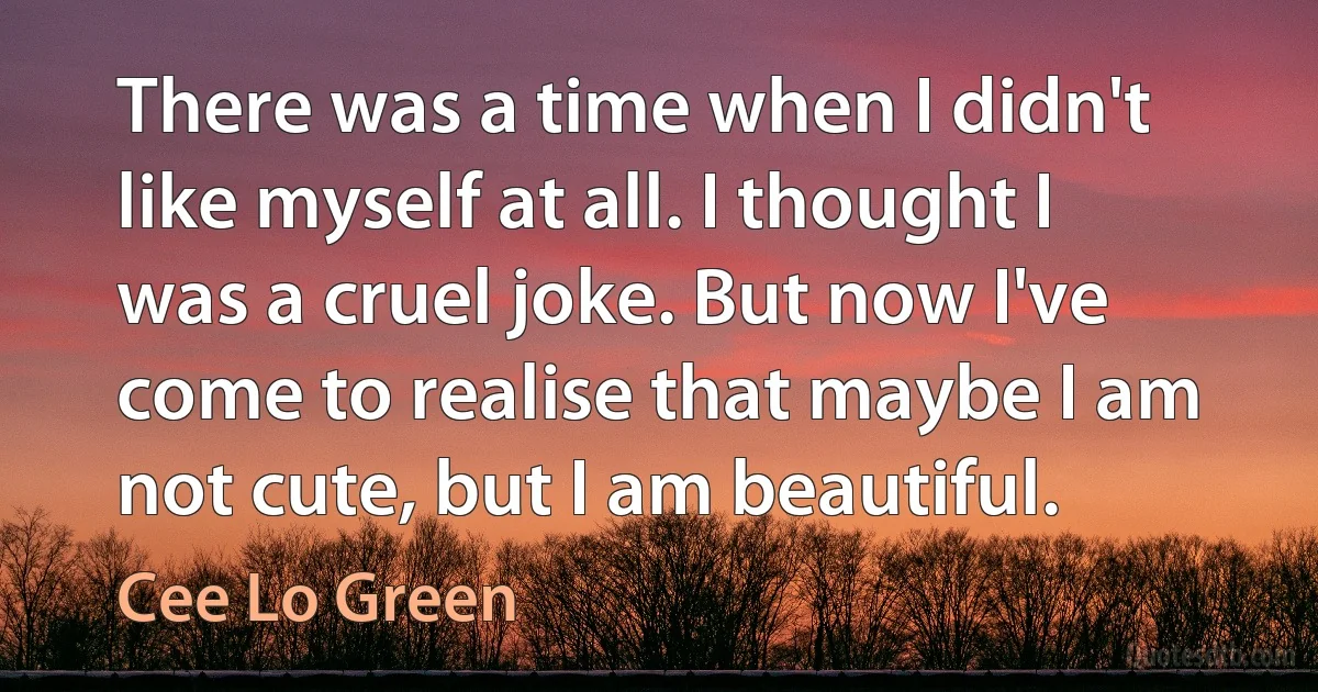 There was a time when I didn't like myself at all. I thought I was a cruel joke. But now I've come to realise that maybe I am not cute, but I am beautiful. (Cee Lo Green)