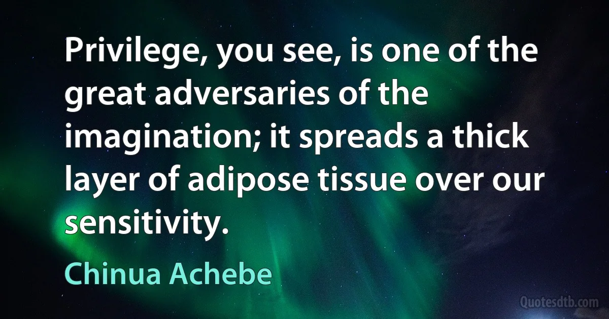 Privilege, you see, is one of the great adversaries of the imagination; it spreads a thick layer of adipose tissue over our sensitivity. (Chinua Achebe)